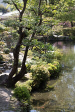Shoshei En Garten Blick auf den Kyoto Tower Kyoto