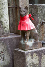 Fushimi Inari Fuchs Inari