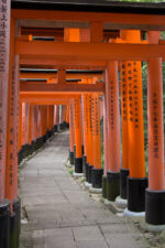 Torii Fushimi Inari Inari