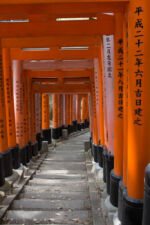 Torii Fushimi Inari Inari