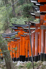 torii Fushimi Inari mal von aussen Inari