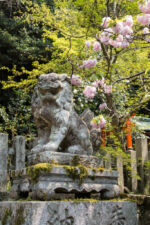 Schrein am Philosophenweg Philosphenweg