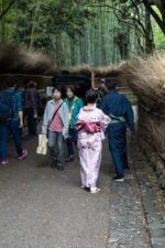 Bamboo Path Arashiyama