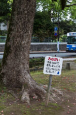 Achtung Hunde: hier nicht hinmachen, glaub ich! Kumamoto