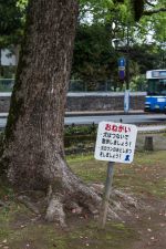 Achtung Hunde: hier nicht hinmachen, glaub ich! Kumamoto