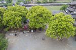 Kumamoto Castle Kumamoto