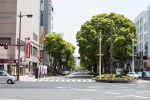 Prachtstrasse Kagoshima Kagoshima
