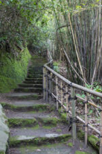 Kagoshima Garten, Name fällt mir noch nicht ein Kagoshima