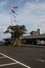 Ryokan Green Hotel Yskushima Kagoshima