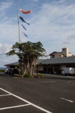 Ryokan Green Hotel Yskushima Kagoshima