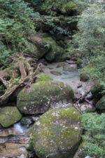 so klares Wasser habe ich schon langnicht mehr gesehen Yakushima
