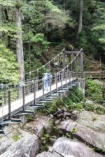 Trail 30 min einfach Yakushima