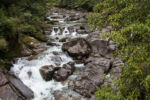 Fluss am Trail 30 min Yakushima