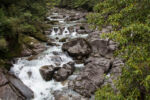 Fluss am Trail 30 min Yakushima