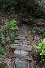 trail 80 min nicht mehr so einfach Yakushima