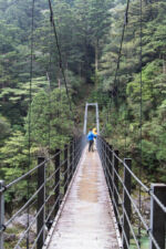 trail 150 min Hängebrücke Yakushima